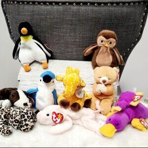 10 Beanie Babies Patti,Hope,Waddle,Twigs,Hoot,Squealer,Rocket,Bruno,Freckles